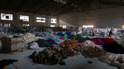 THE TRUE COST OF THE FAST FASHION INDUSTRY 
